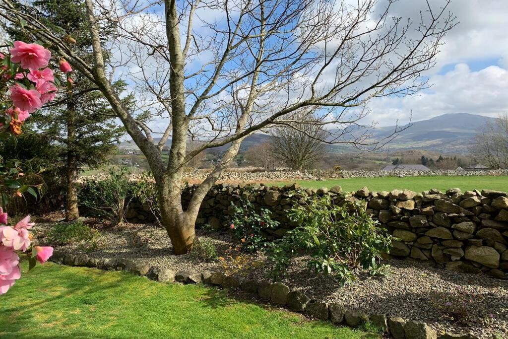 Snowdonia Cabin Карнарфон Екстериор снимка